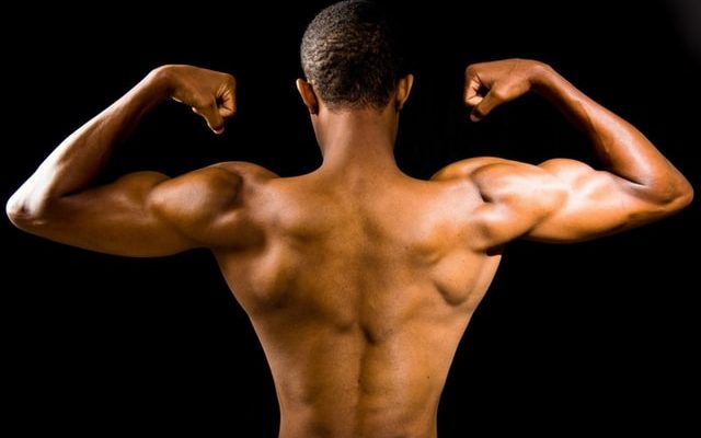 Hormônios E Musculação Entenda Sua Relação Para O Ganho Muscular