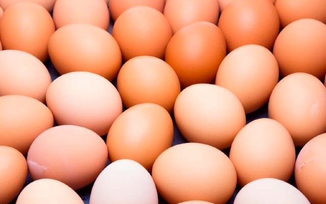 o ovo é uma das melhores fontes de proteínas.